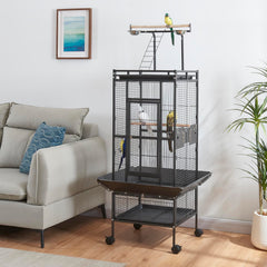 Panana bird cage interior reveals wide space for budgies and conures to roam.