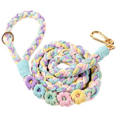 Panda Jianghu leash with rainbow floral handle for stylish daily walks