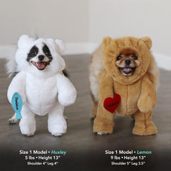 Pandaloon size-3 measure guide image showing exact head height and girth for proper fit.