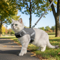 Pangdi cat harness escape-proof grey XX-Large back view showing secure closures