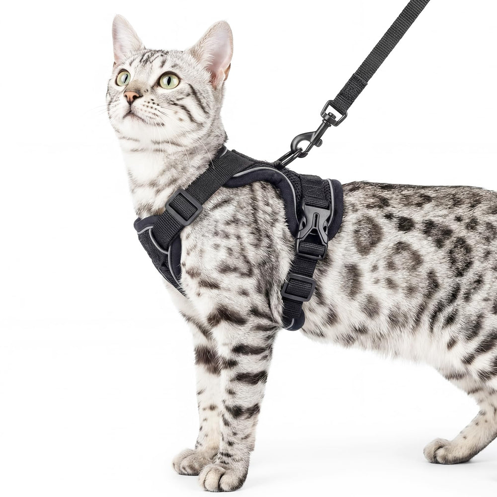 pangdi Cat Harness and Leash Set escape-proof full kit for safe outdoor adventures