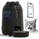 PAPIFEED automatic cat feeder front view showing on-time meals