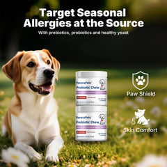 PararaPets Probiotics for Dogs Soft Chews with dog demonstrates pork-flavored training reward