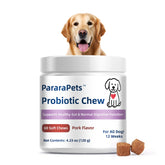 PararaPets Probiotics for Dogs Soft Chews packaging front highlights a gut-supporting supplement