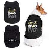Parisian Pet best dog ever embroidered t-shirt on a dog for stylish everyday wear