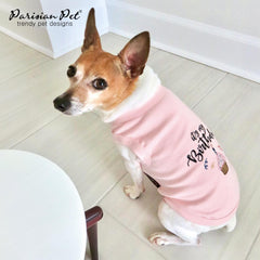 Parisian Pet birthday girl dog wear with cheerful celebration vibe