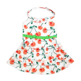 Parisian Pet Boho Dress in red poppies front view for vibrant summer style and comfort.