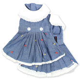 Parisian Pet Chambray Overall Dress on a dog enjoying a beach day with lightweight comfort