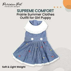 Parisian Pet Chambray Overall Dress lace-detail accents on a stylish canine