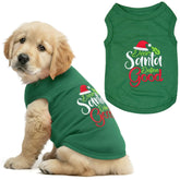 Parisian Pet Dear Santa Define Good dog shirt embroidery close-up for festive holiday wear