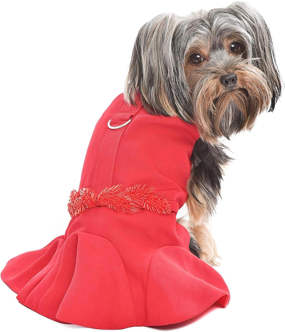 Parisian Pet dog Christmas dress front view for festive occasions
