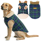Parisian Pet dog jacket in Scottish green plaid on a dog during cold-weather walks