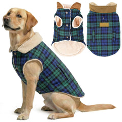 Parisian Pet dog jacket in Scottish green plaid on a dog during cold-weather walks