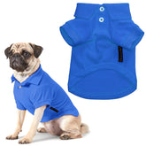Parisian Pet dog polo solid blue front view, breathable cotton for cooling walks