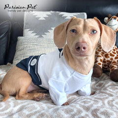Parisian Pet Sailor 3XL shirt demonstrates inclusive sizing for larger dogs.