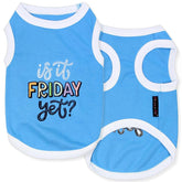 Parisian Pet dog tshirt embroidered Is It Friday Yet on a pup during park walk