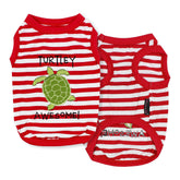 Parisian Pet dog T-shirt with embroidered Turtley Awesome for playful daily walks