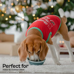 Parisian Pet embroidered christmas shirt on dog model conveys festive style for holidays.