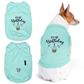 Parisian Pet It's My Birthday embroidered dog t-shirt for festive celebrations.