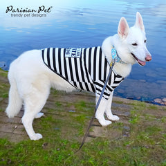 Parisian Pet Prisoner costume worn on a dog demonstrating comfortable fit