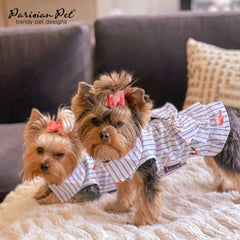 Parisian Pet Sky-blue stripes detail enhances fresh summer aesthetics