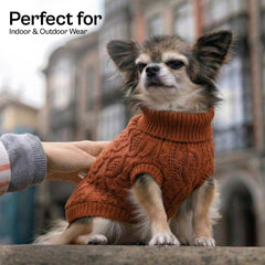 Parisian Pet warmth-detail knit emphasizes plush texture and elegant design.
