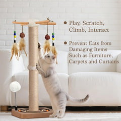 PAROTO ball track feature offers chase and mental stimulation during playtime.