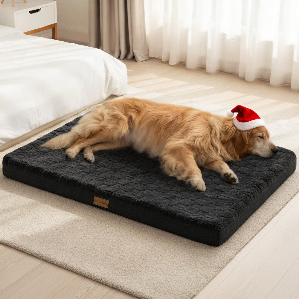 Patas Lague orthopedic dog bed 36x24 egg crate foam close-up highlighting joint relief potential