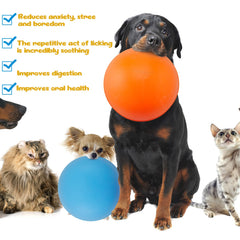 Patelai slow-feeder grooved-bowl promotes controlled meals and comfortable digestion.