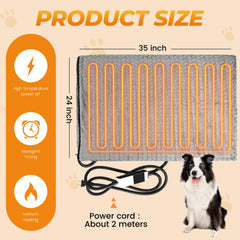 PatiencET cat-on-heated-pad cozy spot showcases comfort for indoor lounging