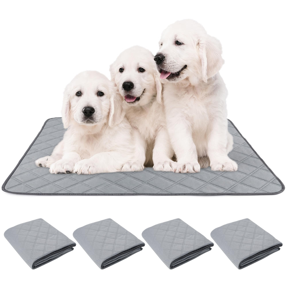 PatiencET washable puppy pads—absorbency demo for dry floors.