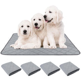 PatiencET washable puppy pads—absorbency demo for dry floors.