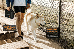PATPET adjustable collar strap fits medium to large dogs comfortably.