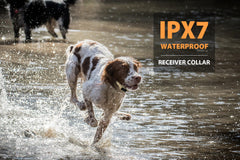 PATPET camouflage training collar shown for rugged outdoor training sessions.