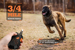 PATPET dual-channel system enables simultaneous training for two dogs.