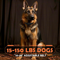 PATPET dual channel remote enables simultaneous two dog training sessions