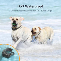 PATPET dual-collars training system supports two receivers for multi-dog households