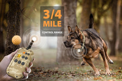 PATPET IPX7 waterproof receiver designed for rain and wet play.