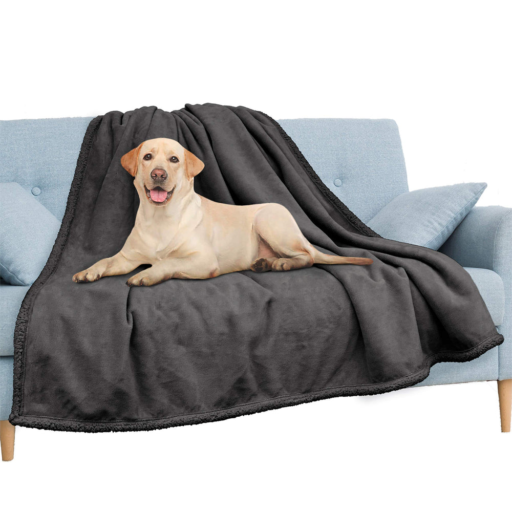 Pavilia waterproof couch blanket on sofa protects furniture from spills and accidents.