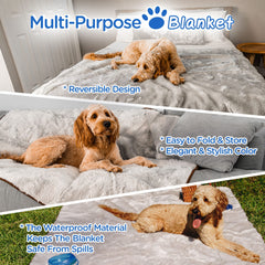 PAW BRANDS PupProtector couch protection on sofa scene shows furniture guarding against accidents.