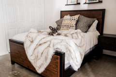PAW BRANDS PupProtector furniture-protection on sofa keeping stains at bay.