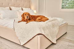 PAW BRANDS PupProtector on pet bed demonstrates full coverage and protection