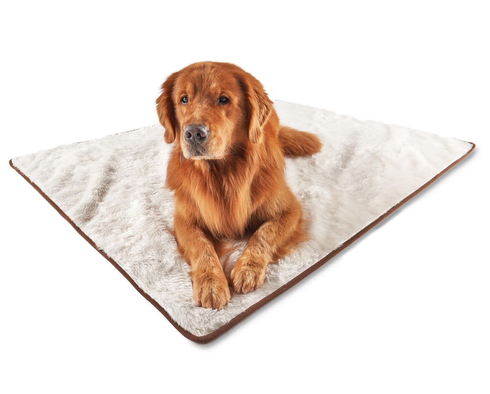 PAW BRANDS PupProtector waterproof throw blanket on a couch protects furniture from spills