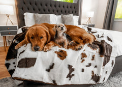 PAW BRANDS PupProtector waterproof throw blanket protects furniture while keeping pets dry and cozy.