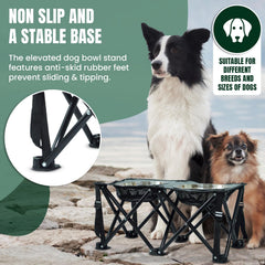 Paw-er Play anti-slip base keeps bowls secure during feeding.