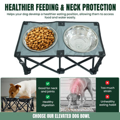 Paw-er Play stainless bowls shown, delivering hygienic meals and straightforward cleaning.