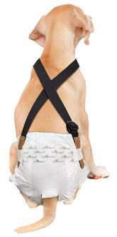 Paw Inspired dog diaper suspenders back view for secure fit on active pets