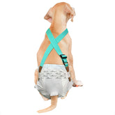 Paw Inspired dog diaper suspenders with Velcro fasteners keep diapers secure during walks.