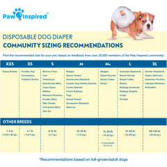 Paw Inspired dog diapers on a small dog demonstrating secure fit for tiny breeds.