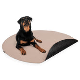Paw Inspired round pee pad 60inch top view, ideal for large dogs
